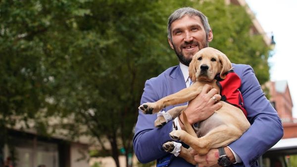 The Washington Capitals' Puppy and Alex Ovechkin - Sputnik International
