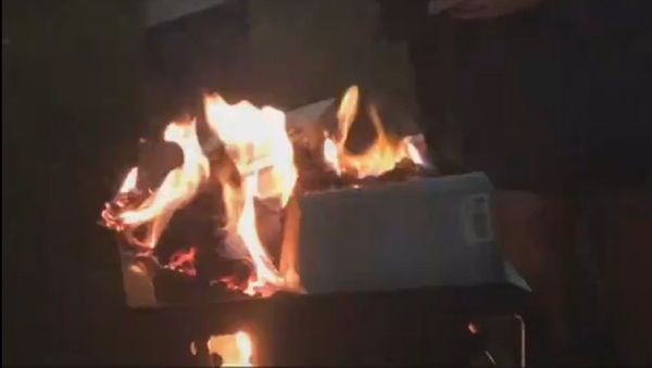 Students at Georgia Southern University burn copies of Jennine Capó Crucet's “Make Your Home Among Strangers” - Sputnik International