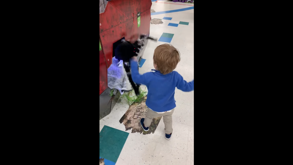 Startled Toddler Swings at Jumping Animatronic Spider - Sputnik International