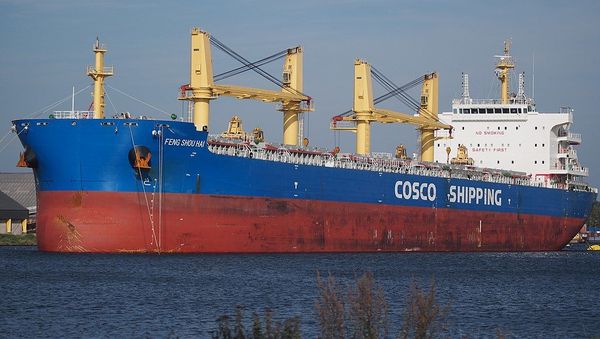 Cosco shipping - Sputnik International