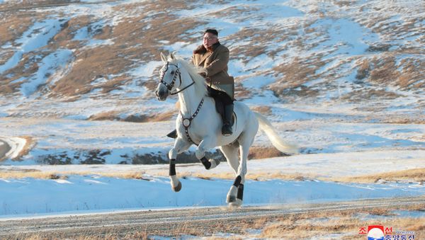 North Korean leader Kim Jong Un rides a horse during snowfall in Mount Paektu in this image released by North Korea's Korean Central News Agency (KCNA) on October 16, 2019 - Sputnik International