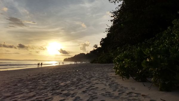 This photograph taken on September 23, 2018 shows sunset on Havelock Island, a tourist haven in the Andaman Islands, a remote Indian archipelago in the Bay of Bengal - Sputnik International