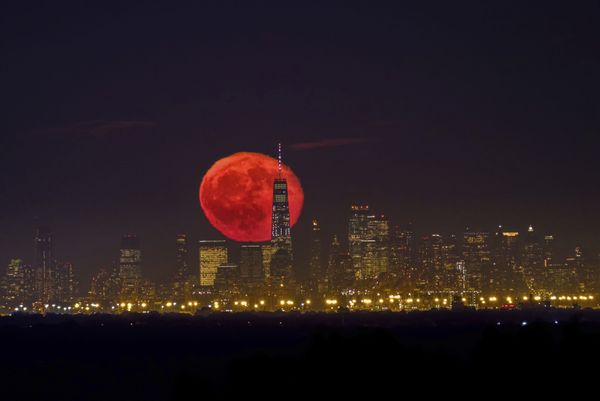The moon rises behind One World Trade Center on a clear night in Lower Manhattan neighborhood of New York, as seen from Green Brook Township, N.J., Tuesday, Oct. 15, 2019.  - Sputnik International