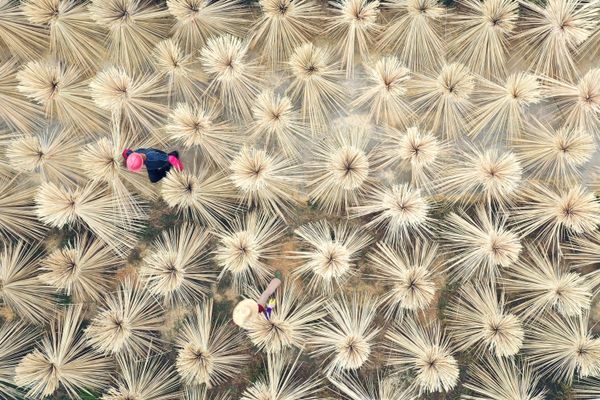Villagers work on drying bamboo products in bunches for making chopsticks in Lijiang county, Jian, Jiangxi province, China October 11, 2019.  - Sputnik International