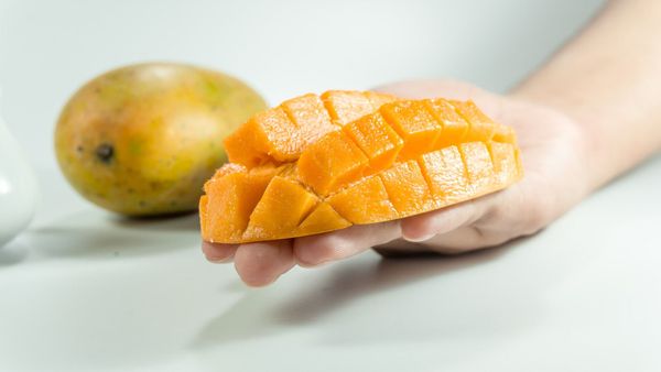 Mango  - Sputnik International