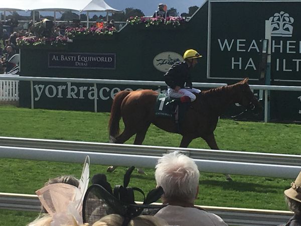Brexit or Bust? It's ‘Super Saturday’ at Westminster and Ascot! Brexit or Bust? It's ‘Super Saturday’ at Westminster and Ascot! - Sputnik International