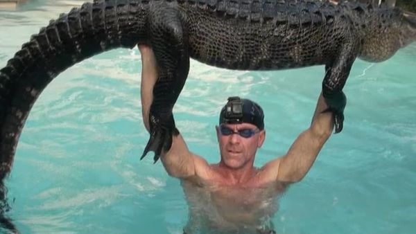 Man carries nine-foot alligator - Sputnik International