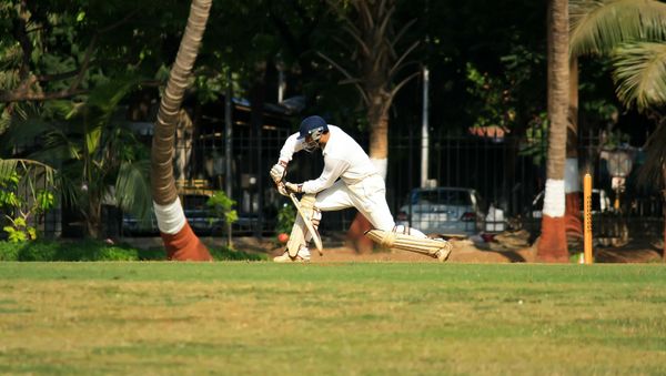 Cricket  - Sputnik International