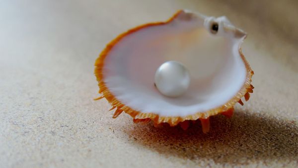 Shell  - Sputnik International