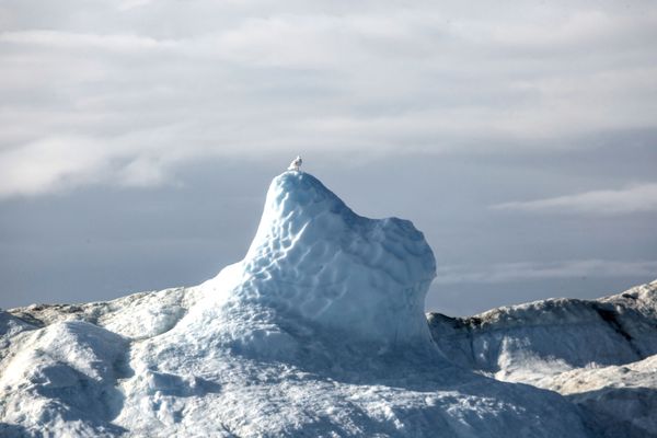 Eternal Ice Retreats Before Rusarc's Expedition to Greenland - Sputnik International