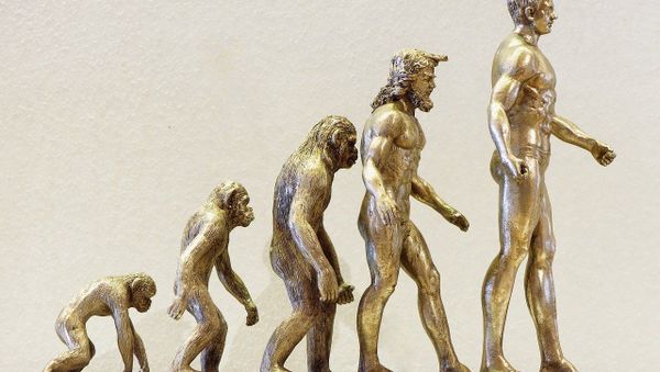 Evolution - Sputnik International