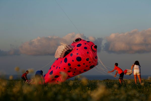 Children help to land a kite during the International Kite and Wind festival outside the village of Gharb, on the island of Gozo, Malta October 20, 2019. Children help to land a kite during the International Kite and Wind festival outside the village of Gharb, on the island of Gozo, Malta October 20, 2019. - Sputnik International
