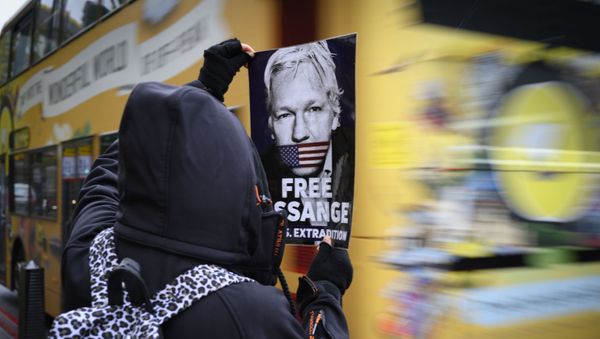 A protester holds a leaflet demanding the release of Julian Assange - Sputnik International