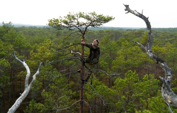 Belarusian ornithologist Vladimir Ivanovski, 72, stands on a tree as he builds an artificial nest for birds of prey from tree branches, in a marsh near the village of Kazyany, Belarus October 20, 2019. Belarusian ornithologist Vladimir Ivanovski, 72, stands on a tree as he builds an artificial nest for birds of prey from tree branches, in a marsh near the village of Kazyany, Belarus October 20, 2019. - Sputnik International