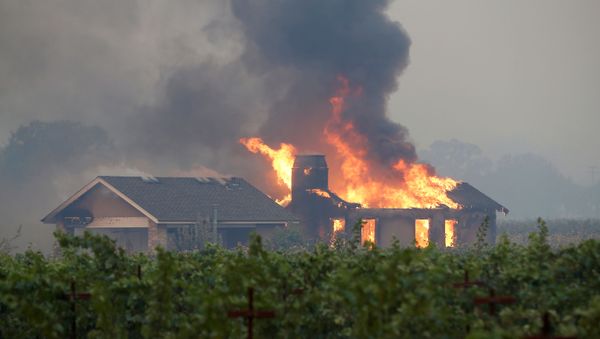A burning structure is seen in the middle of a vineyard during the Kincade fire in Geyserville, California, U.S. October 24, 2019.  - Sputnik International