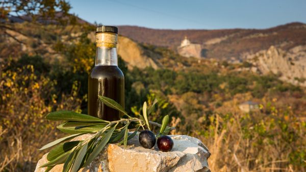 Russian olive oil from olives of Crimean Federal University - Sputnik International