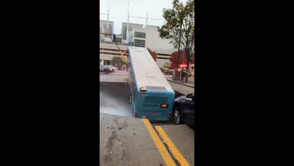 The back end of a Port Authority bus from Pittsburgh, Pennsylvania, is swallowed up by a massive sinkhole during the Monday commute. - Sputnik International