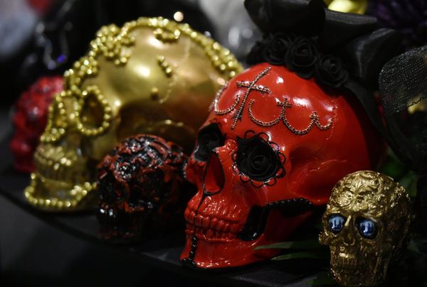 'Til Death Do Us Part: Major European Funeral Exhibition Opens in Moscow 'Til Death Do Us Part: Major European Funeral Exhibition Opens in Moscow - Sputnik International