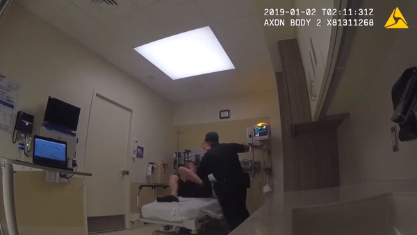 Broward Sheriff's Office Deputy Jorge Sobrino seen punching suspect David O'Connell in January 2019  - Sputnik International