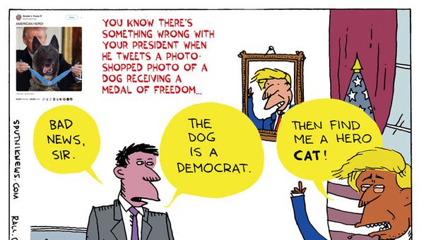 Doggone Photoshopped Shame  - Sputnik International