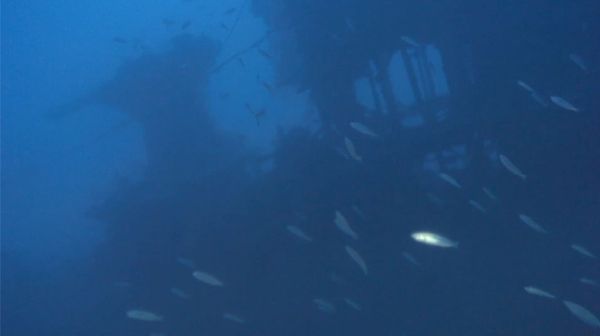 Photos: UK Confirms Discovery of Lost WWII-Era Submarine Off Maltese Coast  - Sputnik International
