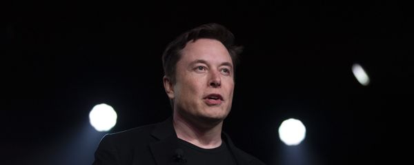 Tesla CEO Elon Musk - Sputnik International