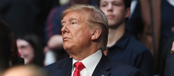 Nov 2, 2019; New York, NY, USA; President Donald J. Trump attends UFC 244 at Madison Square Garden. Mandatory Credit: Sarah Stier-USA TODAY Sports Nov 2, 2019; New York, NY, USA; President Donald J. Trump attends UFC 244 at Madison Square Garden. Mandatory Credit: Sarah Stier-USA TODAY Sports - Sputnik International