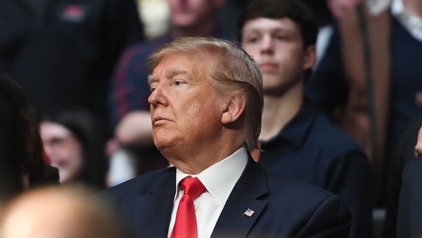 Nov 2, 2019; New York, NY, USA; President Donald J. Trump attends UFC 244 at Madison Square Garden. Mandatory Credit: Sarah Stier-USA TODAY Sports - Sputnik International