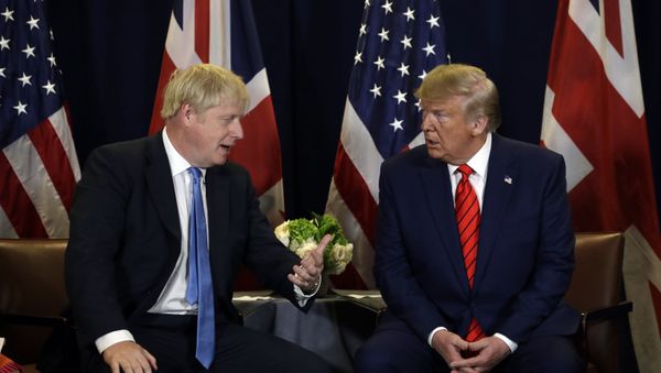 President Donald Trump meets with British Prime Minister Boris Johnson - Sputnik International