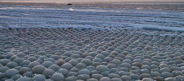 Ball ice in Stroomi beach Ball ice in Stroomi beach - Sputnik International