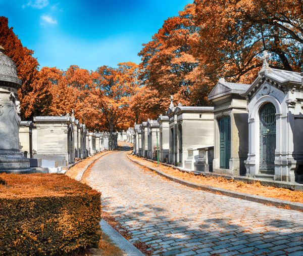 Morbid Beauty: Old and Spooky Cemeteries Across the World Morbid Beauty: Old and Spooky Cemeteries Across the World - Sputnik International