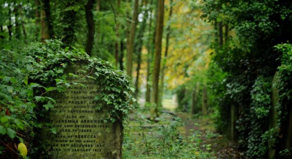 Morbid Beauty: Old and Spooky Cemeteries Across the World Morbid Beauty: Old and Spooky Cemeteries Across the World - Sputnik International