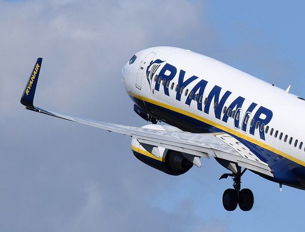 Low-Costers Set to Cash in on Golden Opportunities Brought by 9 Billion-Euro Lufthansa Bailout - Sputnik International
