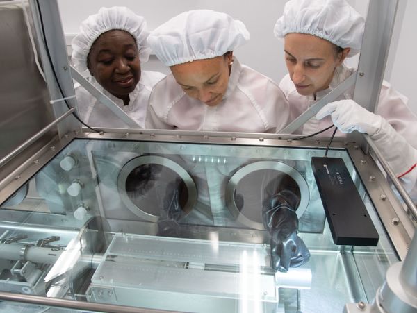 Photos: NASA Opens First Sealed Lunar Sample in 40 Years Amid Preparations for Artemis Missions Photos: NASA Opens First Sealed Lunar Sample in 40 Years Amid Preparations for Artemis Missions - Sputnik International