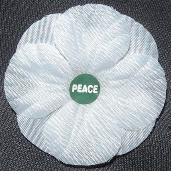 Remember all Victims of War Appropriately – Campaign for Peace - Sputnik International
