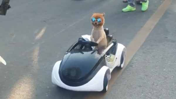 Toy Dog ‘Drives’ Car Through Thai Market - Sputnik International