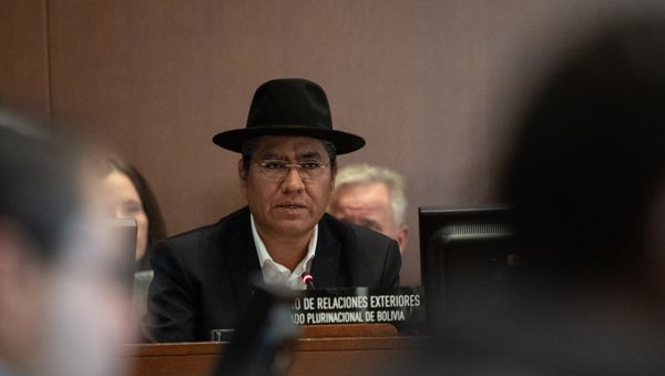 Bolivian Foreign Minister Diego Pary - Sputnik International