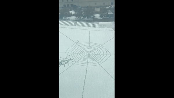 Ohio Local Takes Advantage of Winter Mix, Creates Spidery Snow Art - Sputnik International
