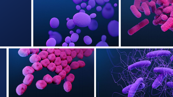 ANTIBIOTIC RESISTANCE THREATS IN THE UNITED STATES 2019 - Sputnik International