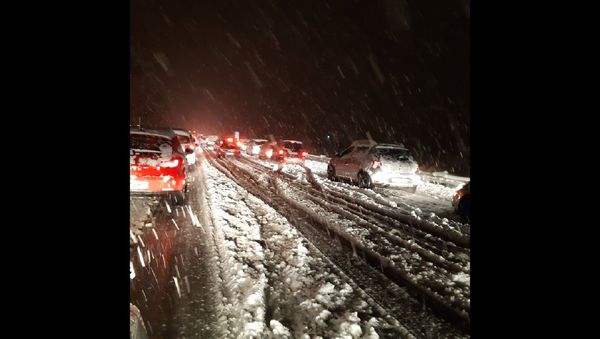 Snowfall in Eastern France - Sputnik International