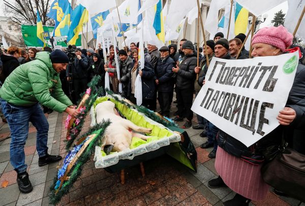 This Week in Pictures: 9-15 November - Sputnik International