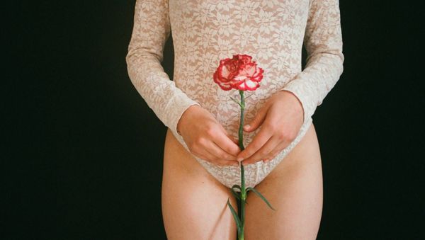  Red rose - Sputnik International