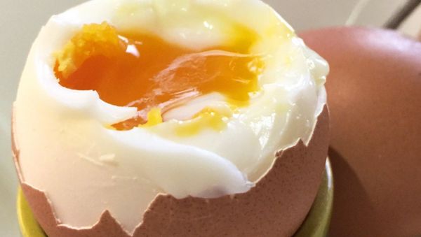 Soft boiled egg - Sputnik International