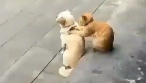 Massage - Sputnik International