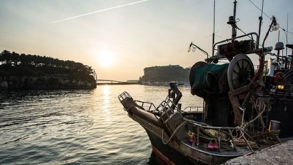Jeju Island boat - Sputnik International