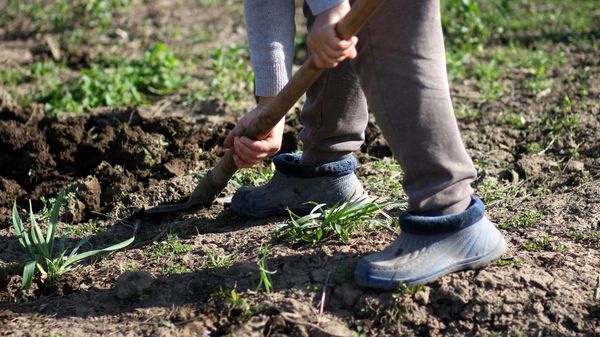 A worker with a spade - Sputnik International