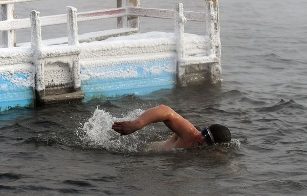 A man swims in the Yenisei River to prepare for the cold water swimming competitions in below 20 degrees Celsius temperature A man swims in the Yenisei River to prepare for the cold water swimming competitions in below 20 degrees Celsius temperature - Sputnik International