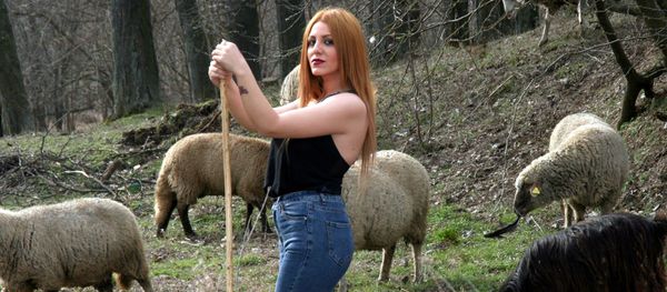 Girl and sheep Girl and sheep - Sputnik International