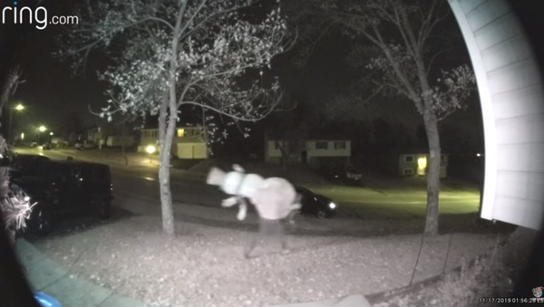 Porch Pirate Nabs Giant Snowman Decoration From Ohio Home - Sputnik International