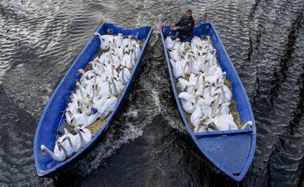 This Week in Pictures: 16-22 November This Week in Pictures: 16-22 November - Sputnik International